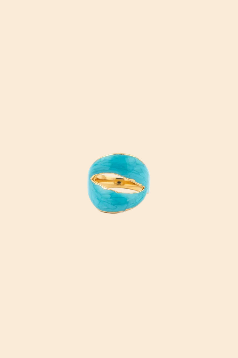 ANILLO OASIS
